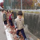 산새들어린이집 이미지