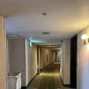 리베라호텔(국민은행) 버스정류장 | 서울 강남 호텔 리베라 청담 숙박 후기 호캉스 수영장 추천 4성급 호텔 서울 여행 숙소