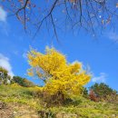 진주 묘엄사지 삼층석탑 | 겨울이 아닌 가을. 통영과 남해.