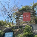 마산회원구 ⓒ-13 | 마산 벚꽃 카페_앵지밭골 그집 야외 감성 끝판왕(주차, 메뉴)