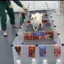 브루하하유치원 이미지