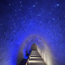 세븐일레븐 동해한섬해변점 이미지