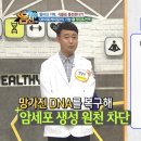 브로스 프로젝트
