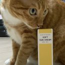 에떼소프트 이미지