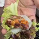 모모갈비식당 | 대구 수창동 돼지갈비 맛집 모모갈비 수창점