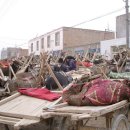 신장시장 이미지