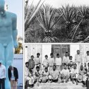 운동농장 이미지