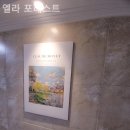 엘라포레스트