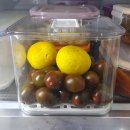 우리집 정리를 부탁해 이미지