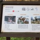 수원-지만-318 | 과천혹서기마라톤(18.08.13)