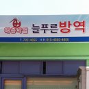 늘푸른 방역