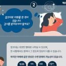 잠꼬대 원인 치매 관련 안하는법 자세히 알아봐요 이미지