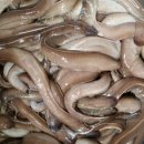 미소펜션 이미지