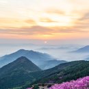 천주산 등산로 이미지