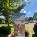 ICHEON29 | 2024 이천 펫축제 장애물 국가대표 시범 경기 애견동반 후기 (2024 Icheon Pet festival)#dog #agility