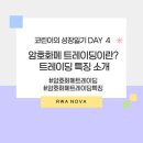 주디 트레이딩