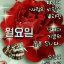 12월 12일 월요일 아침 출석 이미지