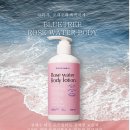 워터트리앤코 이미지