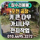 가시나무집 | 포천 공장 전지 작업 키 큰 나무 가시 나무 정리 후기