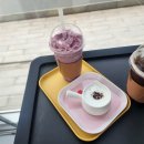 댕동산 | [시흥] 오랫만에 방문한 넓은 실내애견카페 댕동산