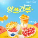 요거트월드 : 반포고투몰점 포장 • 양쯔간루월드 내돈내산 후기