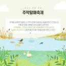 사이버리더 | 양구사랑 사이버 군민증 서포터즈 1기의 &#39;대학생 리더&#39; 활동 후기