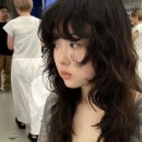 젤리부티끄