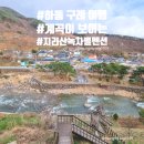지리산녹차별펜션