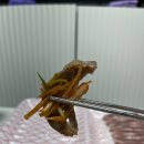 목사랑정육점
