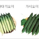 장일농장 이미지