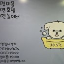 38점5도씨 네이버블로그