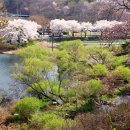 고남저수지 이미지