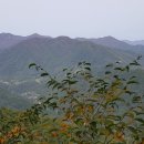 제령리 마을회관 이미지