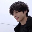 강아지랑 고양이 이미지