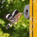 수원-0609 이미지