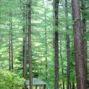 휴양림약수 이미지