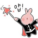 에끌로에스테틱