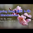 2023년 첫 '매화' & Spring Song (봄의 노래) / Mendelssohn & photo by 모모수계 이미지