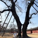 사우어린이집 | 2월 일상