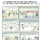 대산미술 이미지
