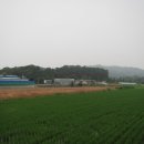 하자포