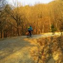 일MTB 이미지