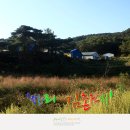 김촌저수지 티스토리