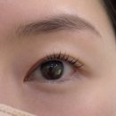 화목데파트(상가) | 자연스러운 해운대 장산역 속눈썹펌 / 하비뷰티