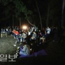 대송면 홍계숲 대경일보