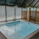 별을 담은 숲 이미지