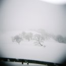 더하얀세상 네이버블로그