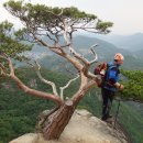 일광식품(주) 이미지