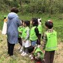 꿈그린유치원 이미지