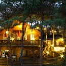 소나무이야기 펜션 이미지